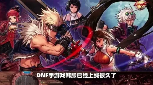 dnf手游翻译器推荐-DNF手游翻译器推荐指南