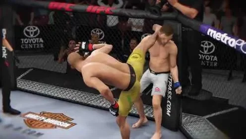 ufc十大回旋踢游戏-ufc回旋踢盘点